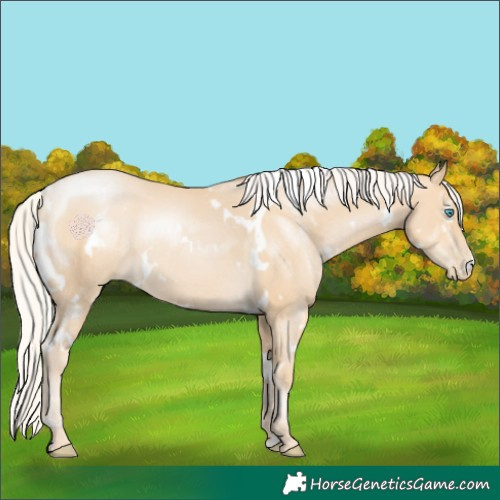 Horse Color:White Spotted Silver Smoky Black Pearl Rabicano 