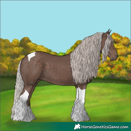 Horse Color:Silver Black Tobiano 