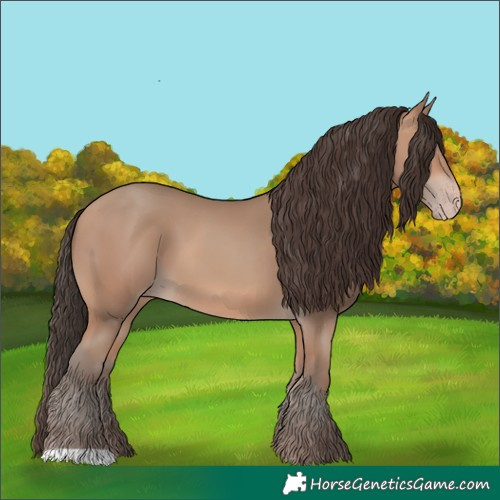 Horse Color:Amber Champagne 