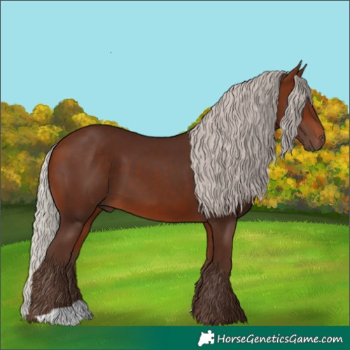 Horse Color:Silver Bay
