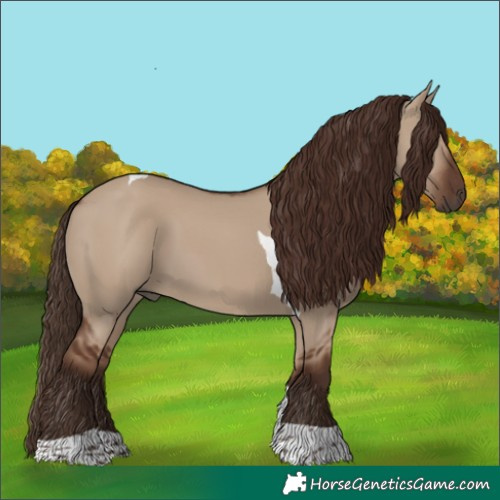 Horse Color:Liver Red Dun Tobiano 
