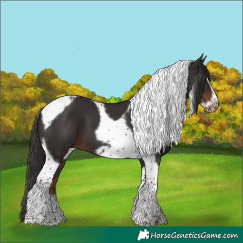 Horse Color:Liver Chestnut Tobiano Frame 