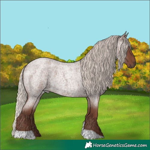 Horse Color:Silver Blue Roan Tobiano 