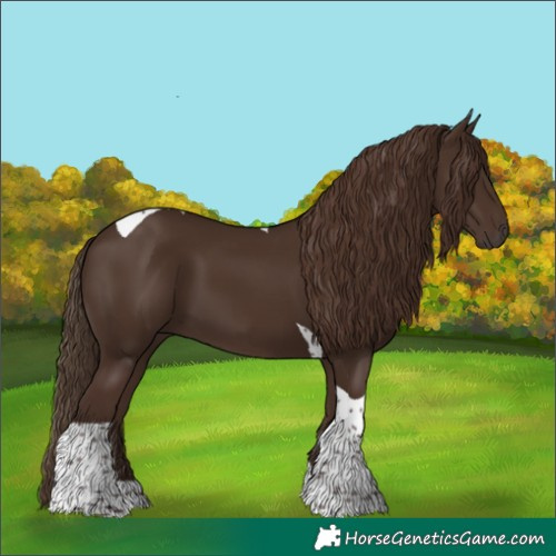 Horse Color:Liver Chestnut Tobiano 