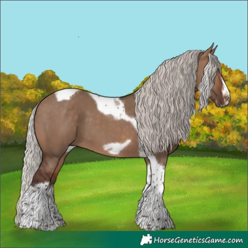 Horse Color:Silver Brown Dun Tobiano Frame
