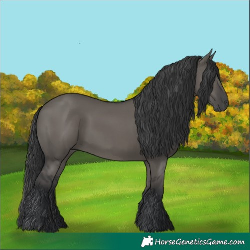 Horse Color:Grullo Rabicano 