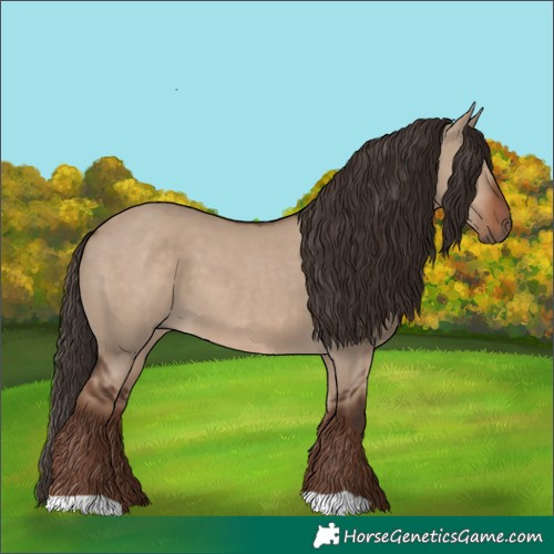 Horse Color:Liver Red Dun