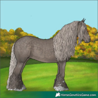 Horse Color:Silver Black 
