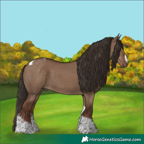 Horse Color:Liver Red Dun Tobiano Frame