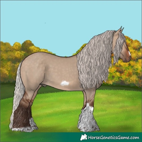 Horse Color:Silver Brown Dun Tobiano Frame 
