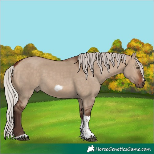 Horse Color:Silver Brown Dun Tobiano Frame 