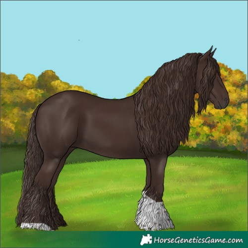 Horse Color:Liver Chestnut Tobiano 