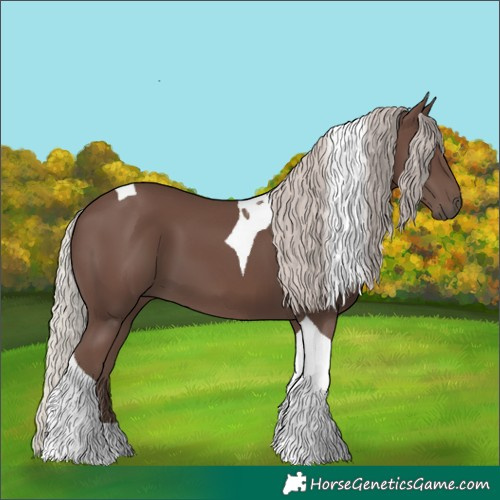 Horse Color:Silver Black Tobiano 