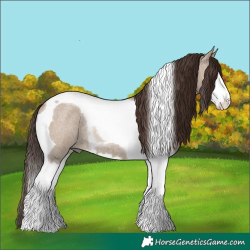Horse Color:Liver Red Dun Roan Splash Tobiano 