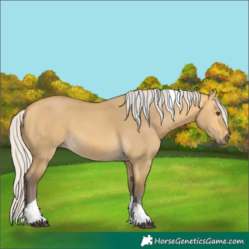 Horse Color:Silver Buckskin Dun Tobiano
