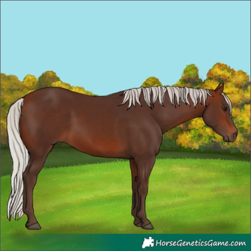 Horse Color:Silver Brown 