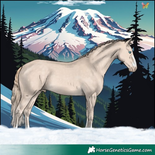 Horse Color:Perlino