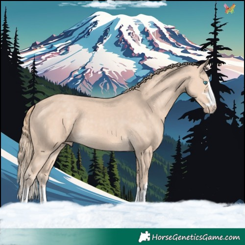 Horse Color:Perlino 