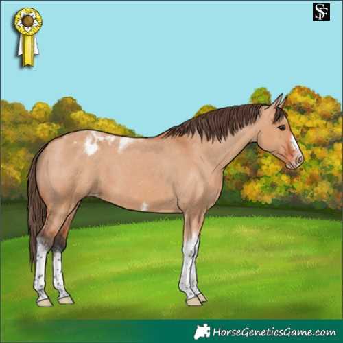 Horse Color:Bay Dun Tobiano Frame Varnish 