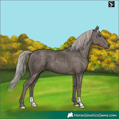 Horse Color:Silver Black 