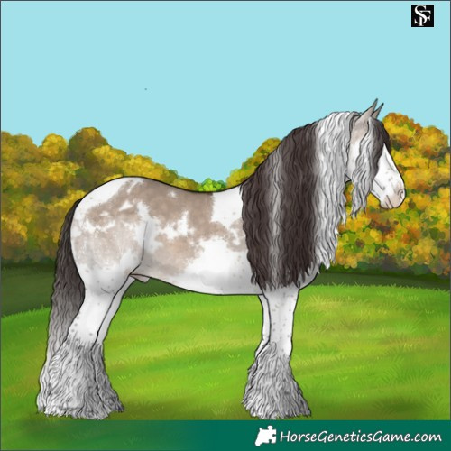 Horse Color:White Spotted Brown Dun Splash Tobiano Blanket 