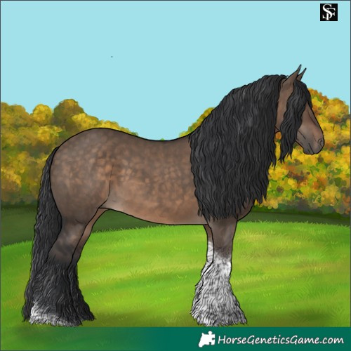 Horse Color:Brown Dun Tobiano 