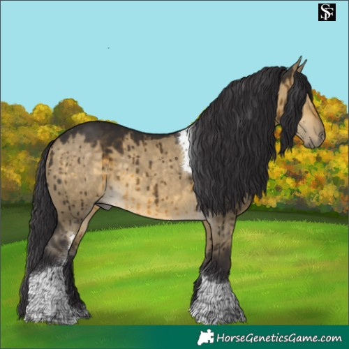 Horse Color:Buckskin Dun Tobiano Brindle 