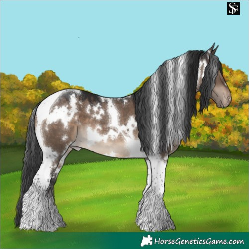 Horse Color:White Spotted Brown Dun Tobiano Varnish 