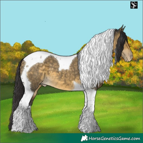 Horse Color:Buckskin Dun Tobiano Blanket 