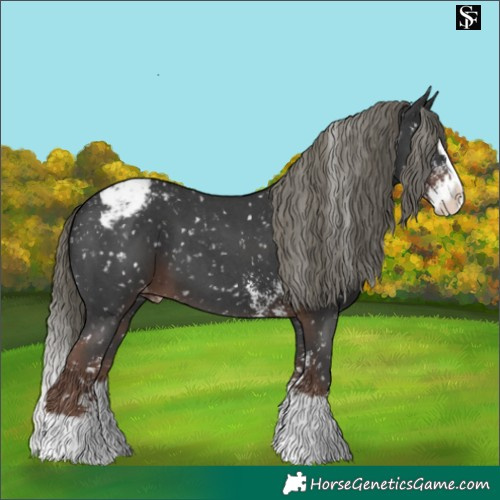 Horse Color:Liver Chestnut Mushroom Sabino Splash Snowflake Varnish