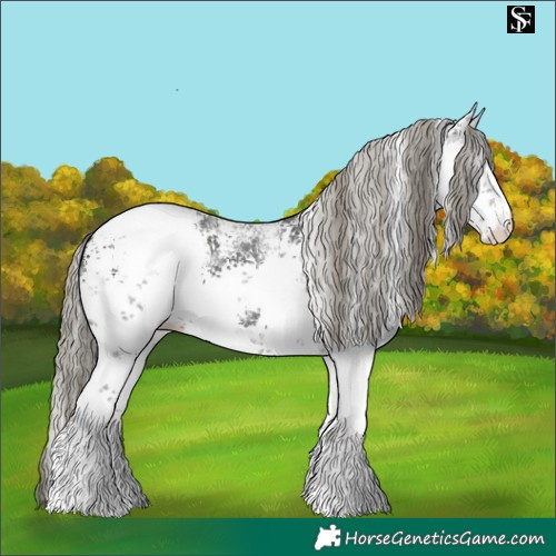 Horse Color:White Spotted Liver Chestnut Mushroom Sabino Appaloosa 