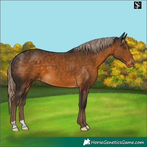 Horse Color:Chocolate Palomino Varnish 