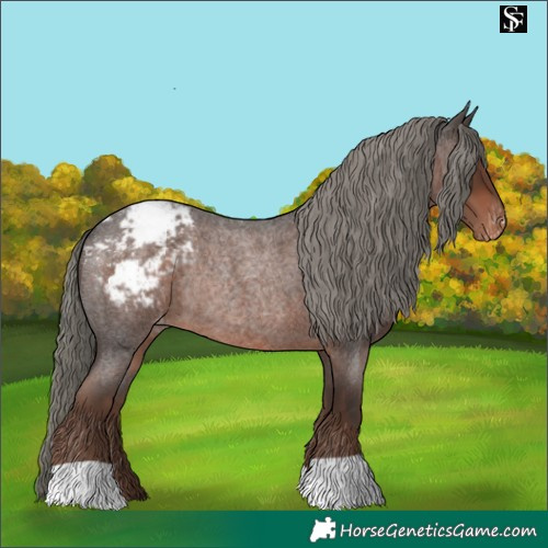 Horse Color:Liver Red Roan Mushroom Snowcap Rabicano 