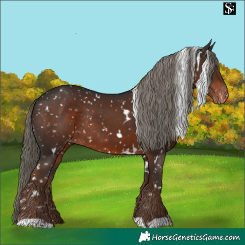 Horse Color:White Spotted Liver Chestnut Mushroom Appaloosa Rabicano 