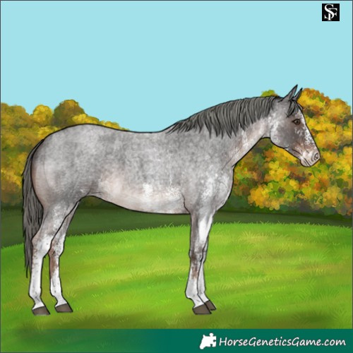 Horse Color:White Spotted Liver Red Roan Mushroom Varnish 