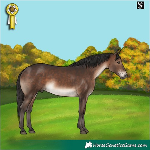 Horse Color:Brown 