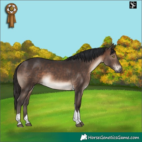 Horse Color:Brown Tobiano 
