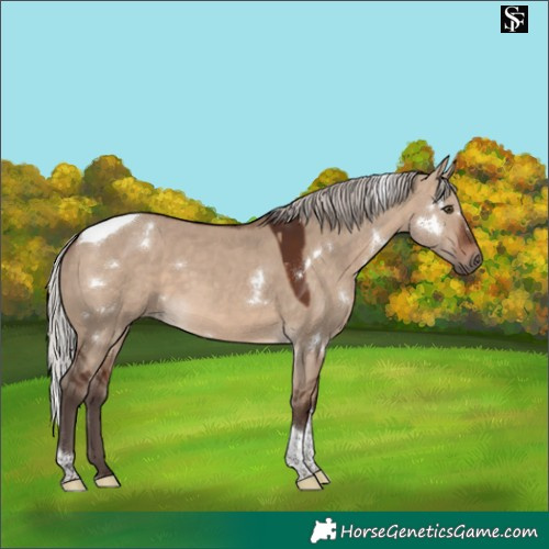 Horse Color:White Spotted Silver Brown Dun Tobiano 