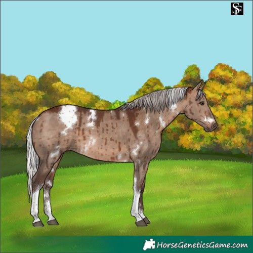 Horse Color:White Spotted Silver Brown Dun Tobiano Brindle 