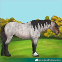 Horse Color:Brown Roan