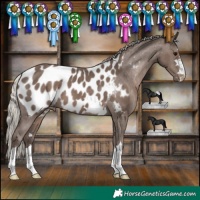 Horse Color:Silver Black Blanket