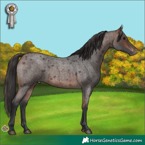 Horse Color:Bay Roan 