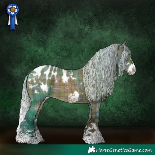 Horse Color:Plaid  White Spotted Silver Brown Dun Splash Frame Blanket 