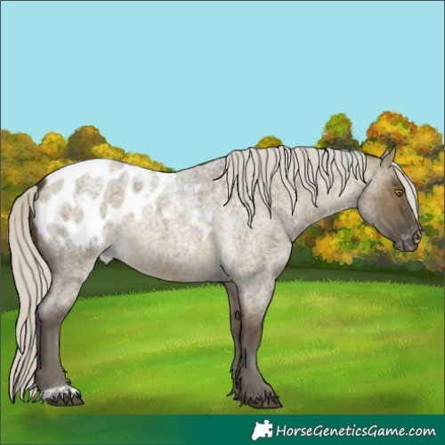 Horse Color:Silver Buckskin Roan Dun Blanket 