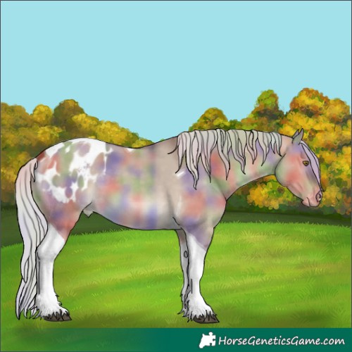 Horse Color:Nacre Silver Brown Dun Tobiano Appaloosa 