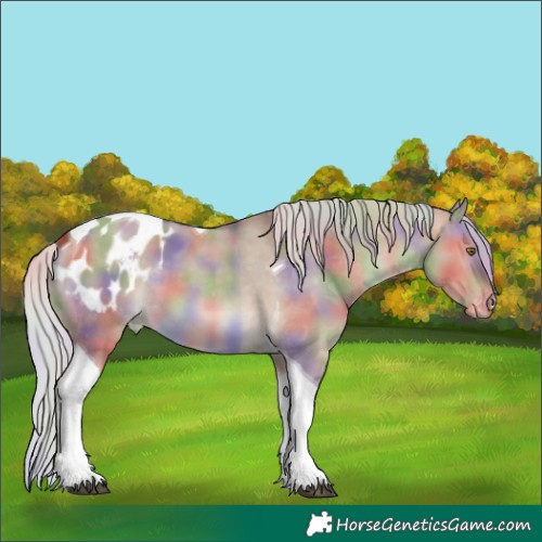 Horse Color:Nacre Silver Brown Dun Tobiano Blanket 