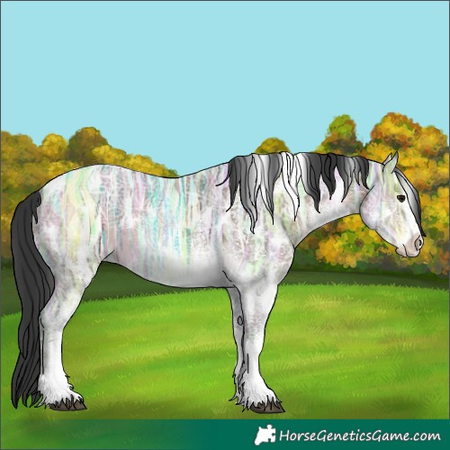 Horse Color:White Spotted Brown Ice Dun Appaloosa 