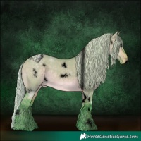 Horse Color:Void Watercolor White Spotted Silver Brown Dun Appaloosa