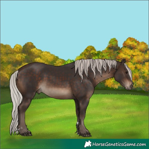 Horse Color:Silver Brown