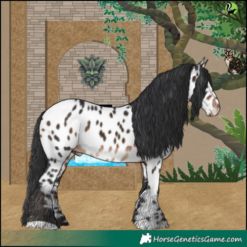 Horse Color:Brown Near Leopard 